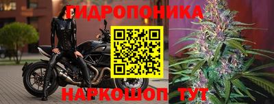 спайс Моздок