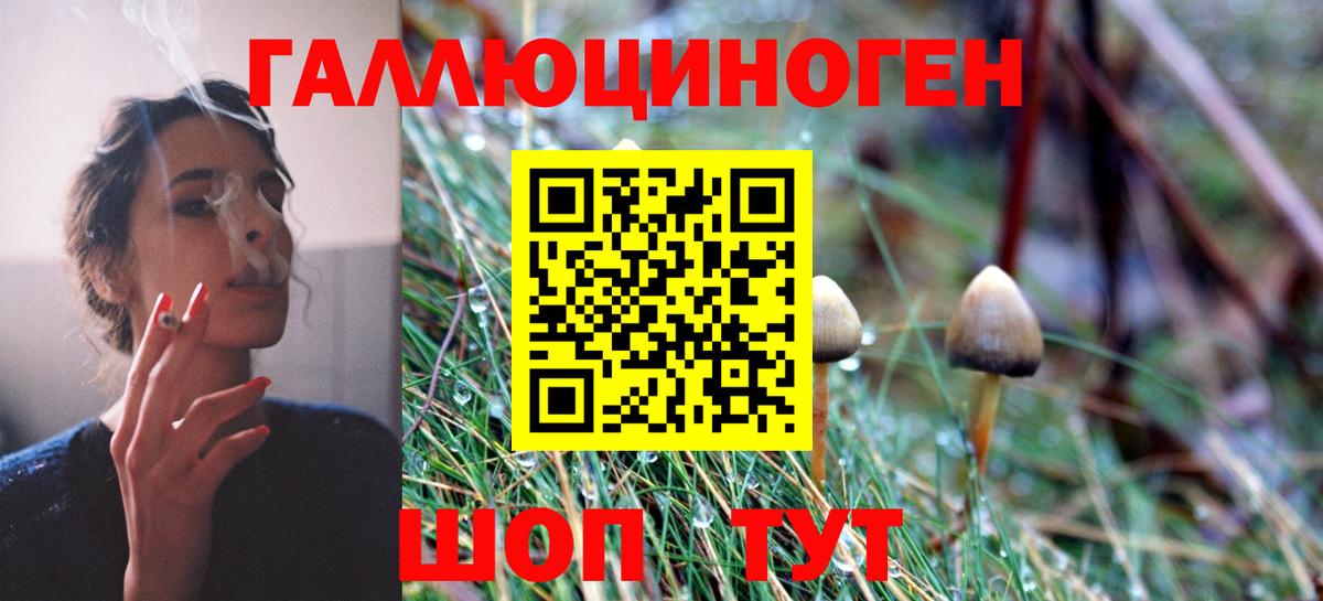 Джанкой  Псилоцибиновые грибы GOLDEN TEACHER  Вход с VPN 