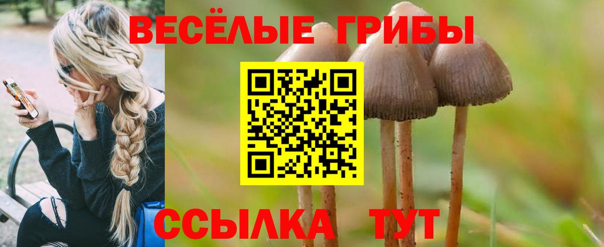Псилоцибиновые грибы ЛСД Джанкой